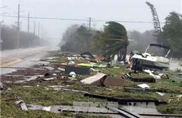 Bão Irma chuyển hướng, các công ty bảo hiểm Florida tránh được &#39;ác mộng&#39; 